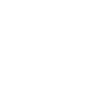 VW Service